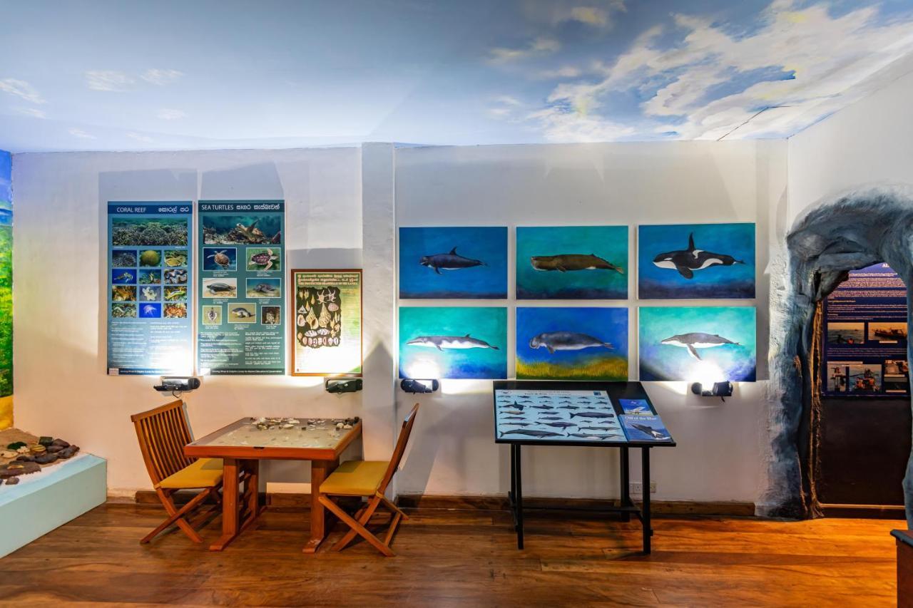 מלון גאלה Jetwing Lighthouse מראה חיצוני תמונה